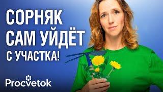 ИЗ-ЗА ЭТОЙ ОШИБКИ СОРНЯКОВ СТАНОВИТСЯ В РАЗЫ БОЛЬШЕ! Как быстро и легко избавиться от всех сорняков