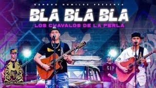 Los Chavalos de la Perla - Bla Bla Bla [En Vivo]