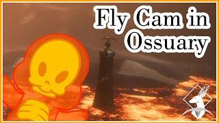 Using Fly Cam in the Ossuary and D'meta's Crossing! {Silly - DA:V Spoilers}