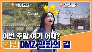 이번 주말, 여기 어때? [철원 DMZ 평화의 길]