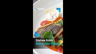 Dishes from Blackchin Tilapia