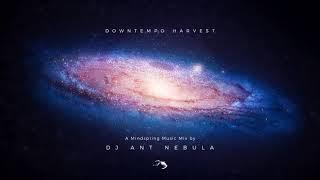 Downtempo Harvest: Mindspring Music Mix by DJ Ant Nebula