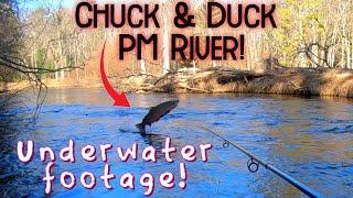 Chuck & Duck For STEELHEAD on The Pere Marquette River (First time fail)