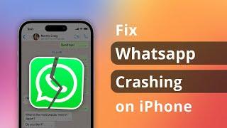 How to Fix Whatsapp Crashing on iPhone? Try These 6 Tips!