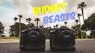 Canon 1D vs Canon 1DS $200 and Under!