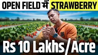 1 acre से 10 Lakh Profit? | Grow Strawberries Without a Polyhouse | Agritalk by Abhinav Roy