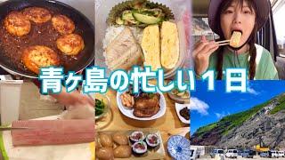 青ヶ島の忙しい1日【VLOG】【青ヶ島】【伊豆諸島】