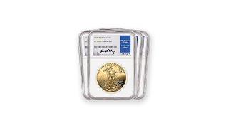 Buy Gold - 2020 Gold American Eagle Set Proof 70