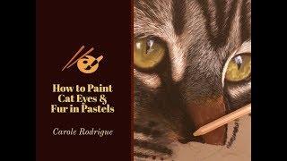 How to Paint Cat Eyes and Fur in Pastels - Narrated Speed Painting Video