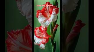 Beautiful flowers | flower status | song |#youtubeshorts #youtubefeed #ytview #ytshorts #shorts