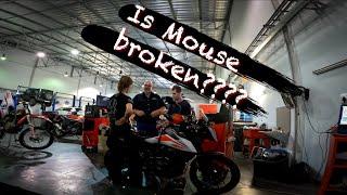 Is the KTM 390 Adventure broken??? ( S1 - E3 )