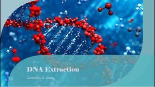 DNA Extraction