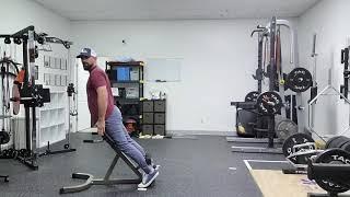 Roman Chair Back Extension Exercise