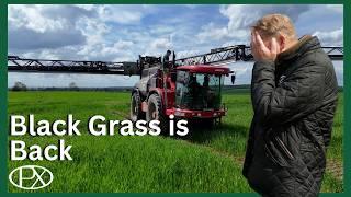 Tissue Test, Black Grass Returns & Broken Sprayers at P.X Farms!