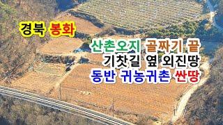 [#산골짜기끝외진땅][#기찻길 옆 시골싼땅매매] 소나무 숲 속 한적한 전원부지에서 전원쉼터 꾸미고 동반귀촌 산촌살이 펼치기 좋은땅, 봉화-2023