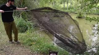 Stalking carp at Bas Bas Lotus Lake