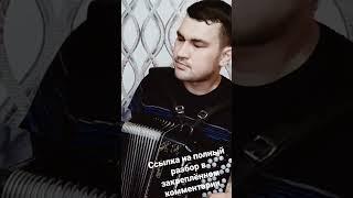 СЫГРАЛ СКРИПАЧА НА БАЯНЕ #разбор #баян