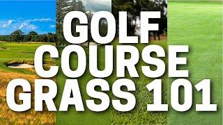 Beginners Guide to Golf Course Grass (Bermuda, Bent Grass, Po Annua & More)