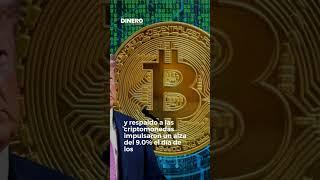 Trump y el auge del Bitcoin  | Dinero en Imagen