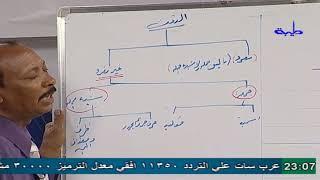 بث مباشر بواسطة قناة طيبة التعليمية