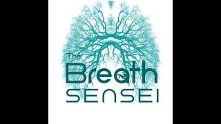 The Breath Sensei - David Toney.  Belfast Real #EP6