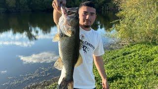 Fishing hunters pond (Huge Bass)