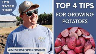 GROWING POTATOES | *4 THINGS YOU NEED TO KNOW*