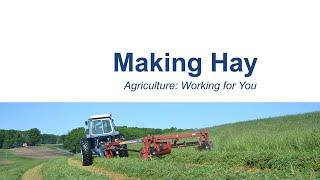 Ag Working for You: Making Hay