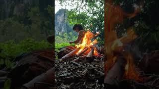 camping in the forest #solocampingcooking #wildsurvival #solowildcamping