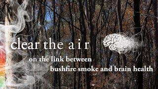 Brain health and bushfire smoke: Your support will help clear the air on a potential link