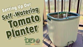 Easy Tomato Planting: Self-Watering Garden Planter for Patio Gardening with Vego Garden