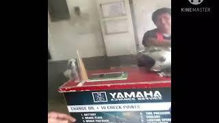 Check engine.. ICU.  Pra kai snipi. 