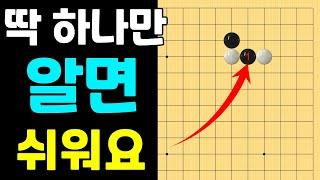 [초반50수] 정말 간단한 끼움수 대응책