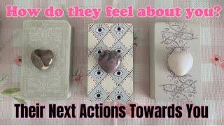 How are they feeling about you + next action towards youTimeless pick a card love reading