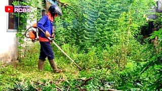 Pemilik rumah sudah tak tahan melihat rumput di sekitar rumah nya yang tinggi dan tebal 19 Juli 2024