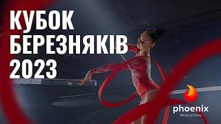 Григораш Александра 2014 Ball