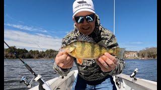 Yellow Perch Time Again! - The "Unofficial" start to our fishing season- DelMarva's Eastern Shore!