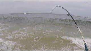 Can You Catch Keeper Flounders Off the Beach?