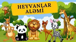 HEYVANLARİ OYRENMEK - HEYVANLAR ALEMİ