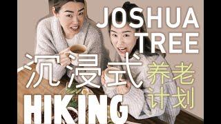 Vlog@Joshua Tree (下) 沉浸式hiking ｜ 我的闺蜜是戏精｜超美味低脂早餐教程｜心形巨石｜约书亚树国家公园自驾游+徒步｜A Little Getaway