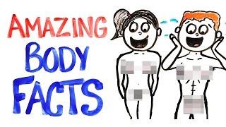 Why Your Body Is AMAZING!