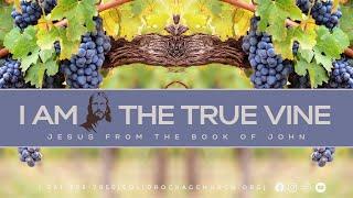 I AM THE TRUE VINE  | SUNDAY JUN 30TH 2024 | PAS. SAMUEL CHANDRAN