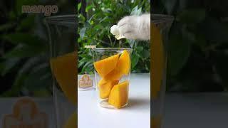 REAL Fruit Cake + Mango Latte, So Perfect! | Chef Cat Cooking  #tiktok #Shorts