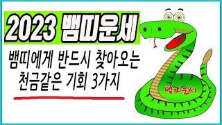 2023년 뱀띠 나이별 운세- 반드시 찾아오는 천금같은 기회 3가지/어렵지 않으니 꼭~직접 챙겨면 대박  (01년생, 89년생, 77년생, 65년생, 53년생 41년생)