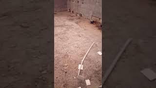 Демонтаж и вынос строительного мусора