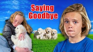 SAYING GOODBYE! Convincing DAD to Keep a PUPPY? **EMOTIONAL**