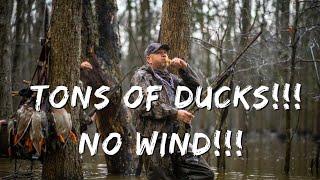 Duck Hunting Early Season | The Importance Of A Good Wind | Into The Woods With Rusty Creasey