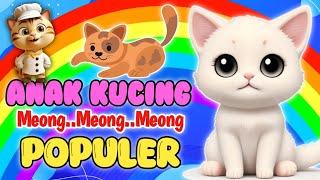 Kompilasi Lagu / Anak Kucing Meong Meong / Pok Ame Ame / Lagu Anak Indonesia Populer / KATSUKIDS