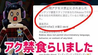 理由はまさかの◯◯️マーチィ1日アクセス禁止騒動について。【ロブロックス】Roblox