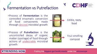 Demystifying the Art and Science behind Fermented Foods